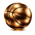 Bronze Training Membership